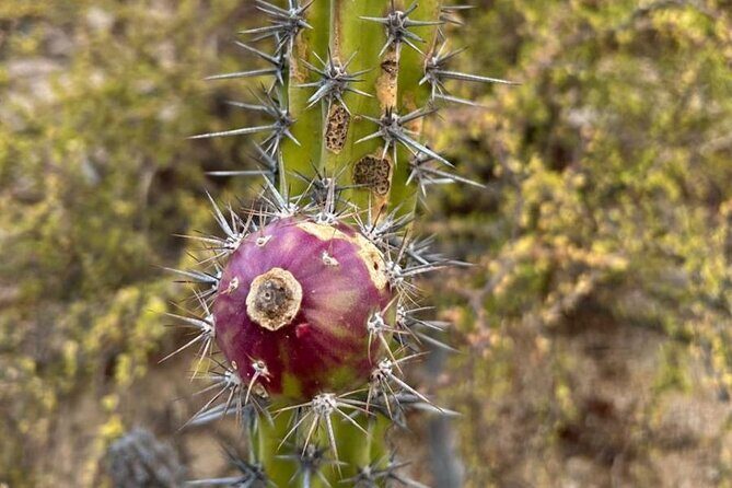 Private Hiking in La Paz - The Overall Experience