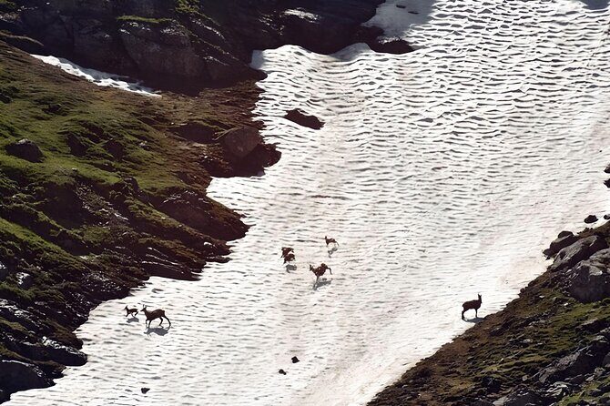 Private Hiking to Bucegi Natural Park from Brasov - Descent and Return