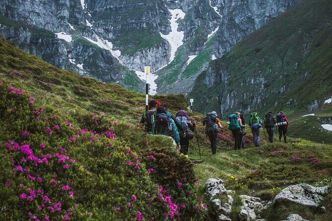 Private Hiking to Bucegi Natural Park from Brasov - What’s Included and What’s Not