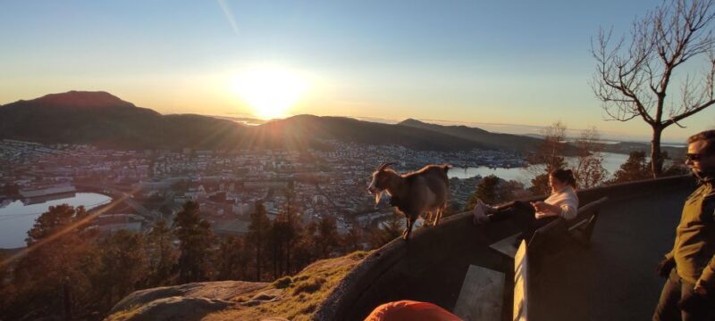 Private hiking tour Bergen mountains like a local - Key Points