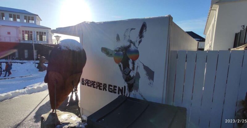 Private hiking tour Bergen mountains like a local - Why Consider This Bergen Mountain Hike?