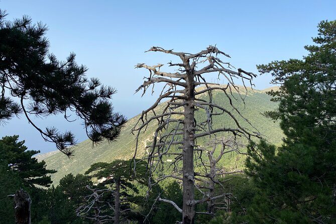 Private Hiking Tour in Çika Mountain - The Value Proposition