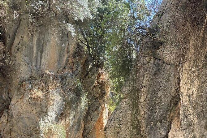 Private Hiking Tour in Imbros Gorge (Chania) - Who Should Consider This Tour?