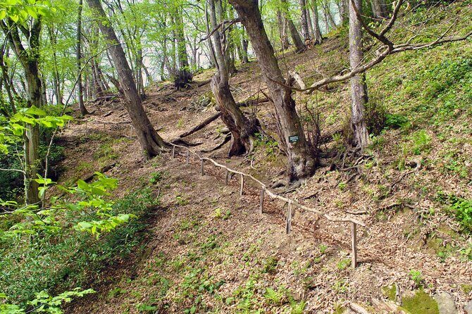 Private Hiking Tour to Machakhela National Park from Batumi - Authentic Feedback from Participants