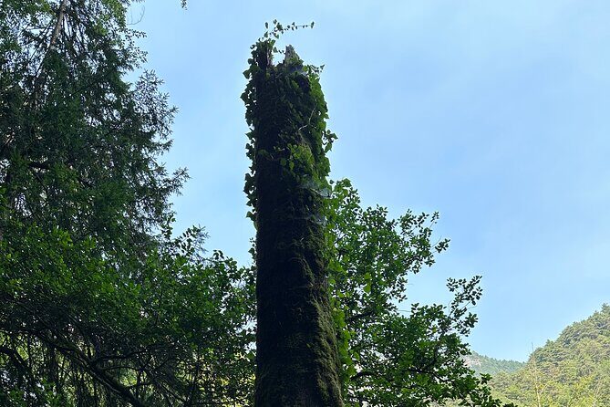 Private hiking tour to Olympus mountain - FAQs