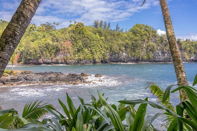 Private Hilo Shore Excursion - Botanical Gardens & Waterfalls - Who Should Consider This Tour?