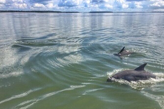 Private Hilton Head Sunset Dolphin Tour - Key Points