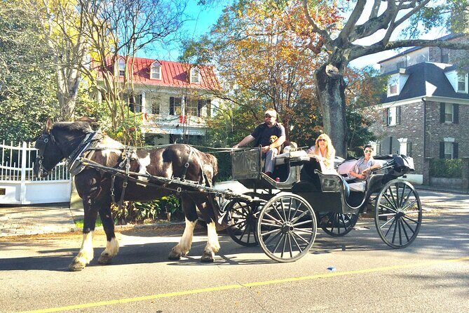 Private Historic Horse & Carriage Tour of Charleston - What to Expect from the Charleston Carriage Tour