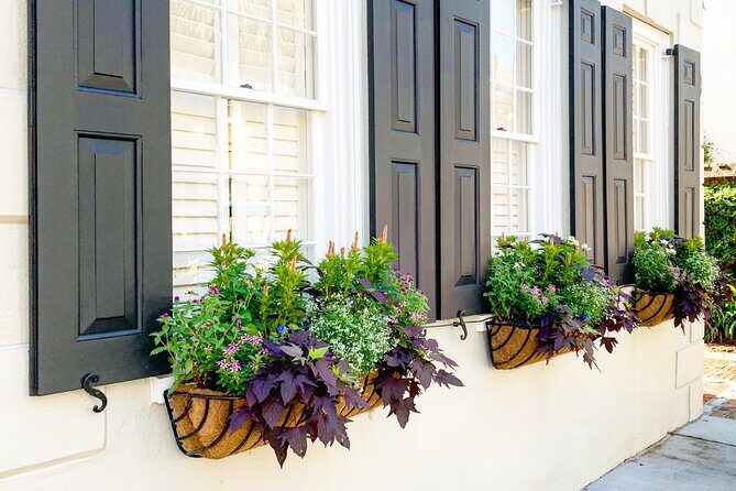 Private Historic Horse & Carriage Tour of Charleston - Final Thoughts: Is It Worth It?