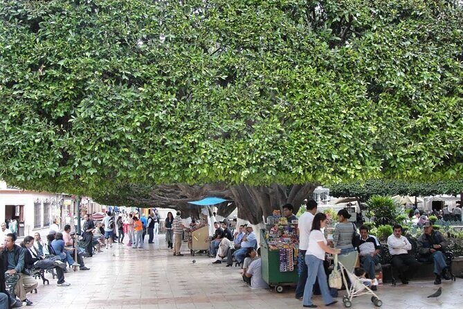 Private History & City Walking Tour of Guanajuato - Final Thoughts