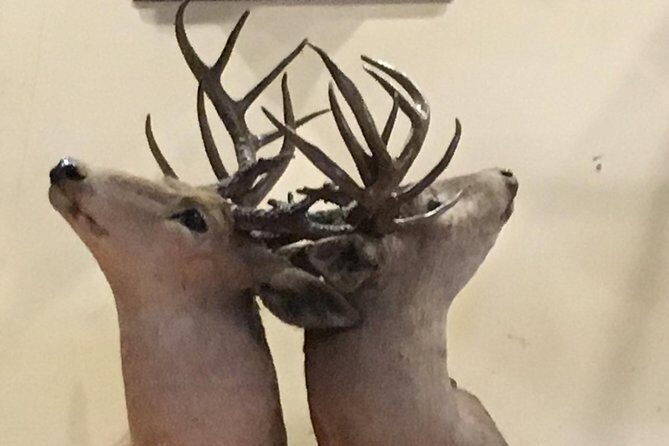 Private History Pub Crawl/Tour - Practical Details