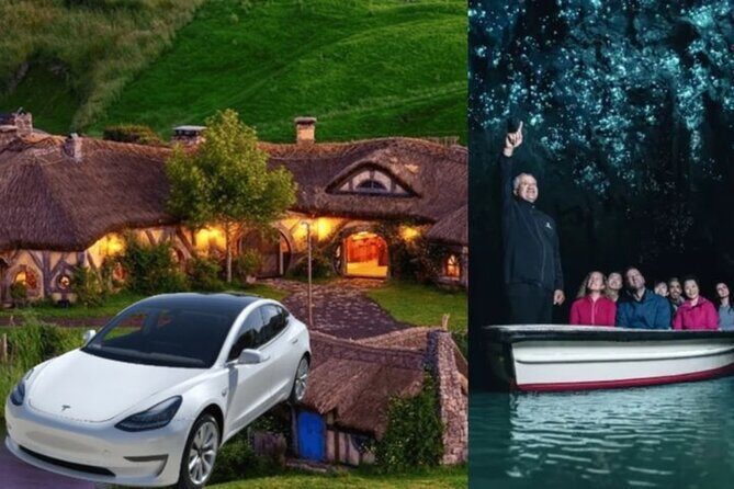 Private Hobbiton, Waitomo Caves, Blue Spring & Hamilton Transfer - Key Points