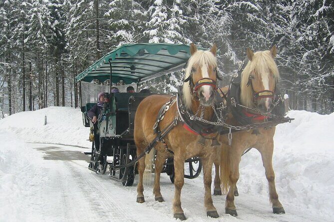 Private Horse-Drawn Sleigh Ride from Salzburg - Practical Considerations & Tips