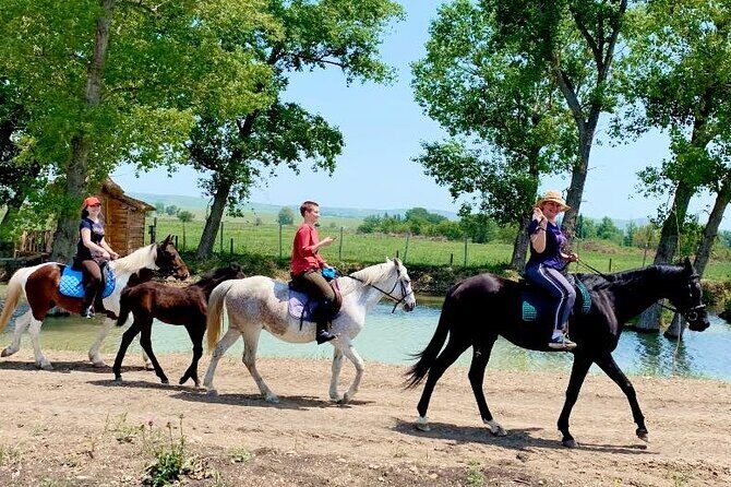 Private Horse Ridding tour - Key Points