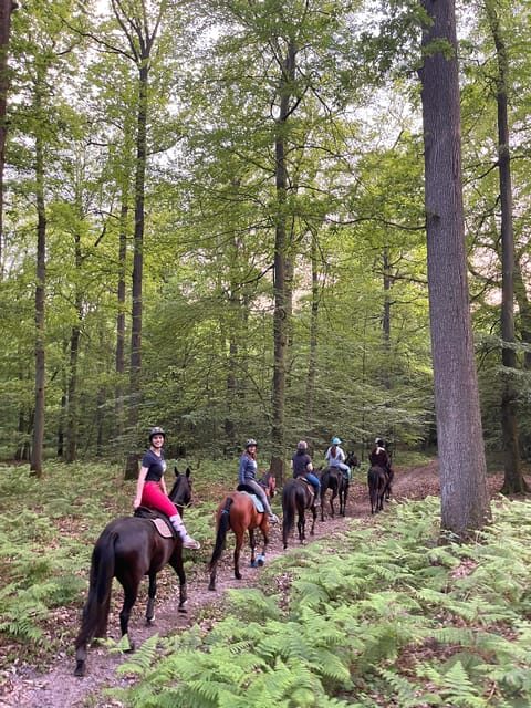 Private Horse Ride experience - A Cozy, Personal Horseback Ride Near Paris: What You Need to Know