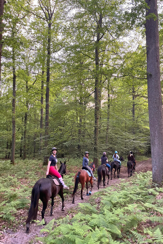 Private Horse Ride experience - Who Should Consider This Tour?