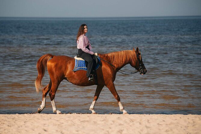 Private Horse Riding on the Beach in Riga - Private Horse Riding on the Beach in Riga: An Honest Look