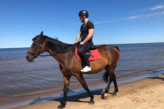 Private Horse Riding on the Beach in Riga - Real Traveler Feedback