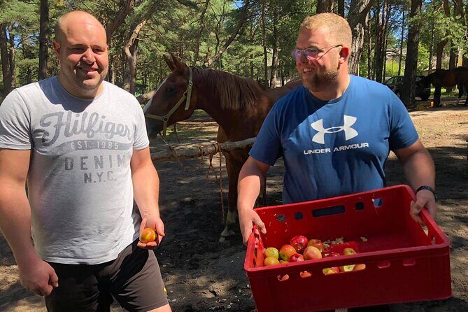 Private Horse Riding on the Beach in Riga - Who Is This Tour Best For?
