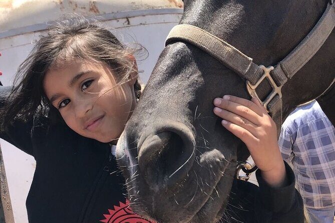 Private Horseback Beach + Bufadora Shore Excursion - Deep Dive: The Itinerary and Highlights