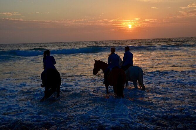 Private Horseback Beach + Bufadora Shore Excursion - Who Should Consider This Tour?