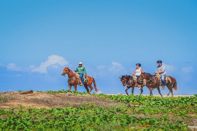 Private Horseback Riding in Cabo San Lucas - What Makes This Tour Stand Out