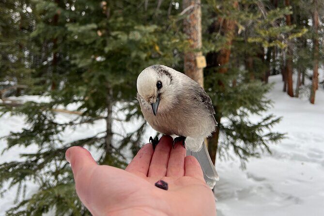 Private Hot Chocolate Hike in the Rockies - What Is the Private Hot Chocolate Hike in the Rockies?
