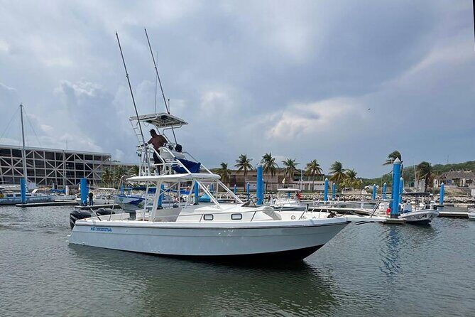 Private Huatulco Whale & Dolphin Adventures - Why This Tour Offers Great Value