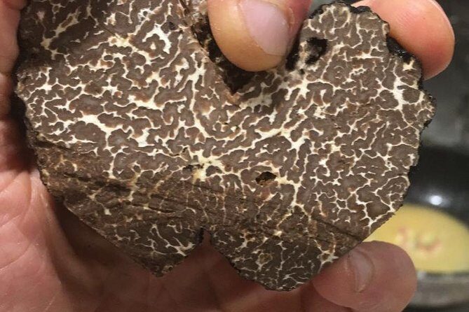 Private Hunting Of Truffle And Mushrooms With Chef Luigi Gandola In Bellagio - FAQ