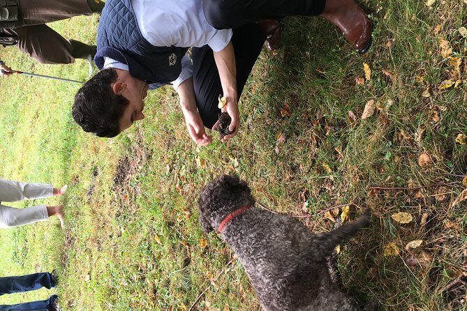 Private Hunting Of Truffle And Mushrooms With Chef Luigi Gandola In Bellagio - Final Thoughts