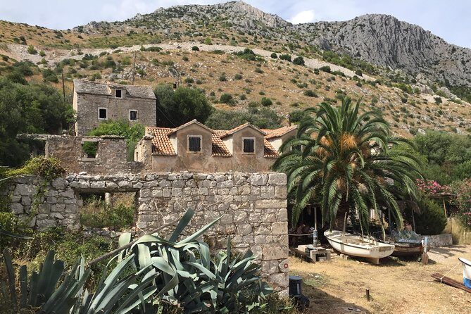 Private Hvar Island Tour and Olive Oil Tasting - The Experience Through Travelers’ Eyes