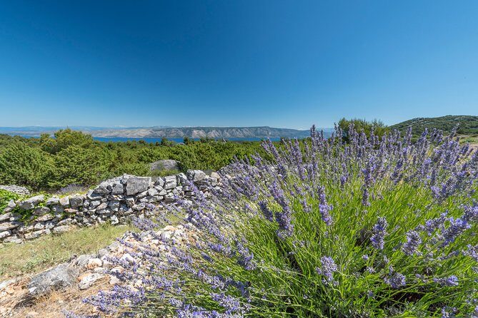 Private Hvar Wine Tasting Tour - FAQ