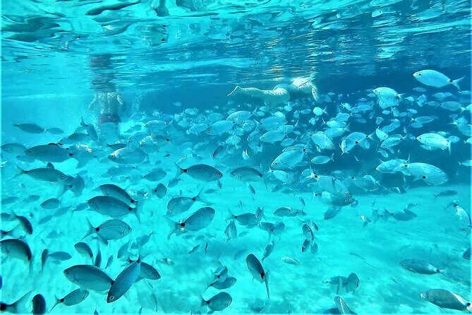 Private Hydro-Jet Snorkeling Beach and Cave Cruise Tour - The Bottom Line