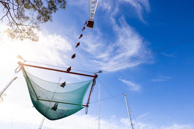 Private Intercity Transfer from Rotorua to Wellington - Who Will Appreciate This Service?