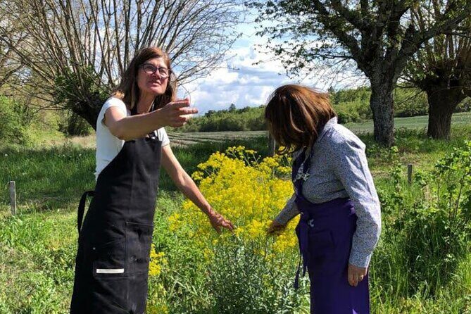 Private Introduction to plant color in Forcalquier in Provence - Why This Tour Might Be Perfect for You