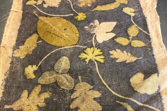 Private Introduction to plant color in Forcalquier in Provence - Final Thoughts