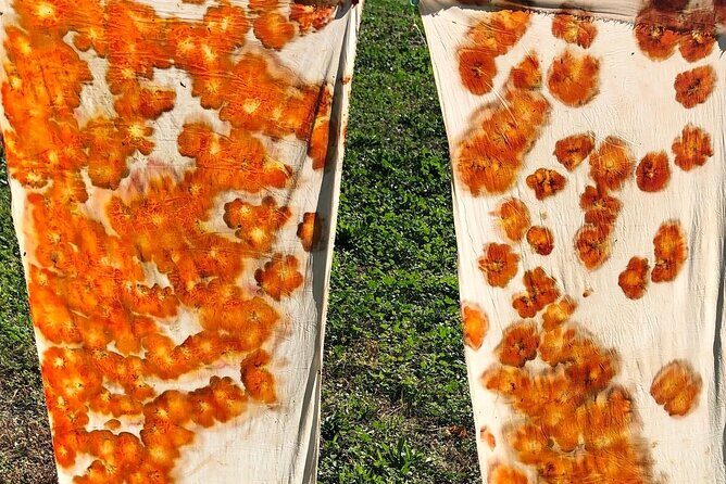 Private Introduction to plant color in Forcalquier in Provence - FAQ