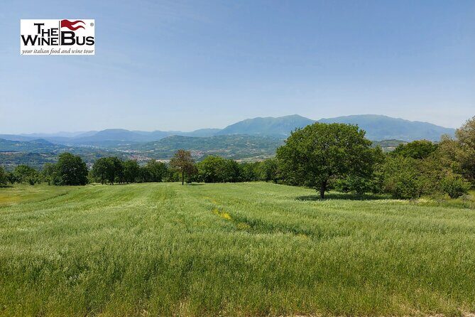 Private Irpinia Gourmet Tour from POSITANO, PRAIANO or AMALFI - The Itinerary in Detail