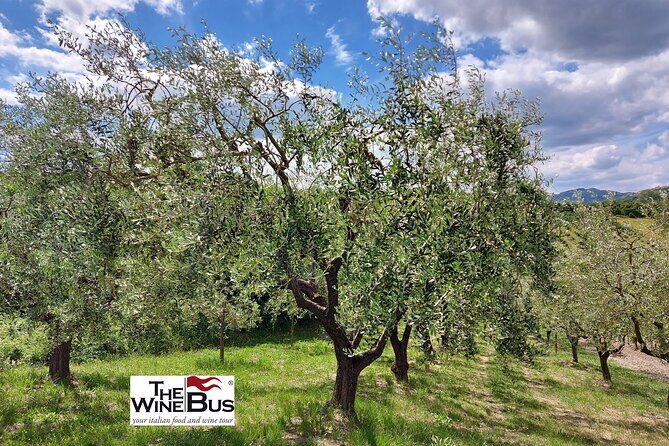 Private Irpinia Wine Tour from Sorrento with sommelier - FAQ