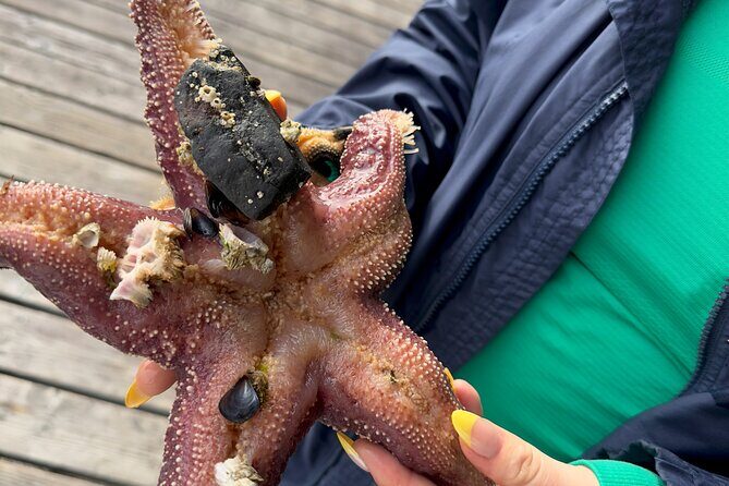 Private Island Experience in Sitka - Who Is This Tour Best For?