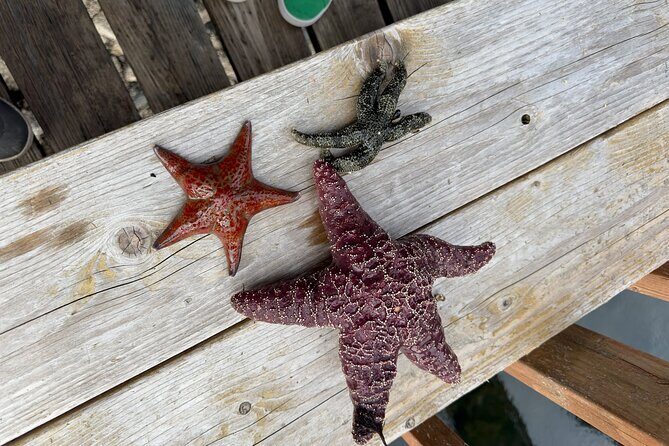 Private Island Experience in Sitka - Final Thoughts