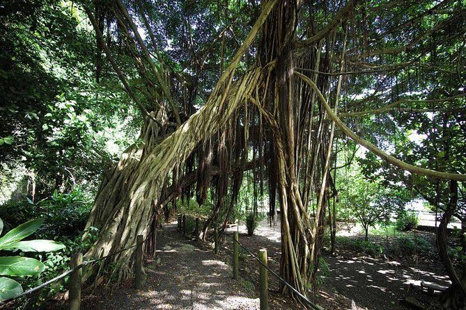 Private Island Tour ( 5 HOURS) - Value, Price, and Overall Experience