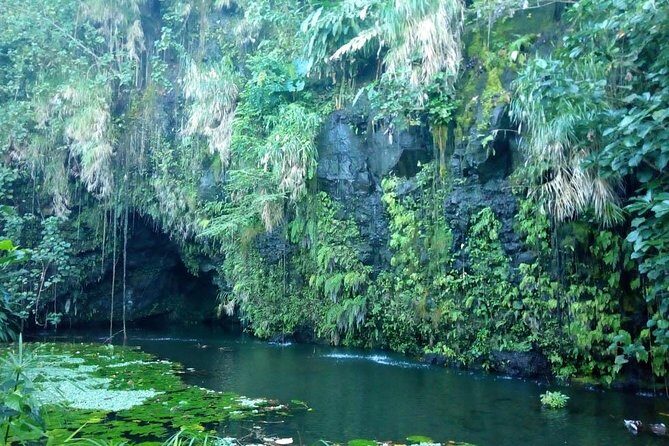 Private Island Tour ( 5 HOURS) - FAQ