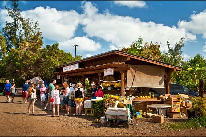 Private Island Tour Up to 24 people - Who Is This Tour Best For?