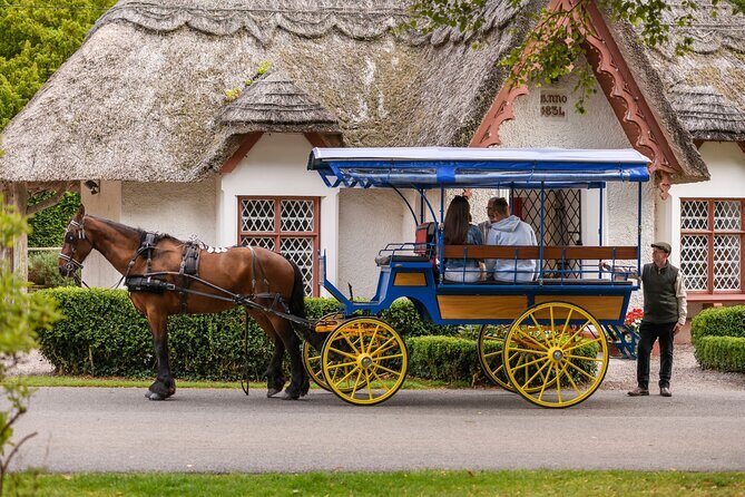 Private Jaunting Tour and Afternoon Tea in Killarney - Exploring the Itinerary in Detail