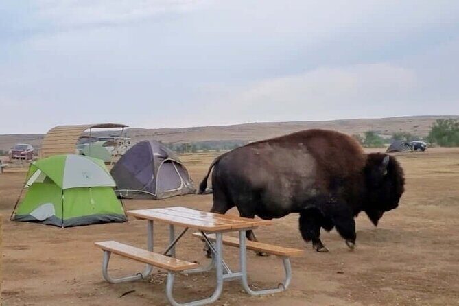 Private - JEEP Badlands Backcountry (Sage Creek/Sheep Mtn/Scenic) - An In-Depth Look at the Badlands Backcountry Tour