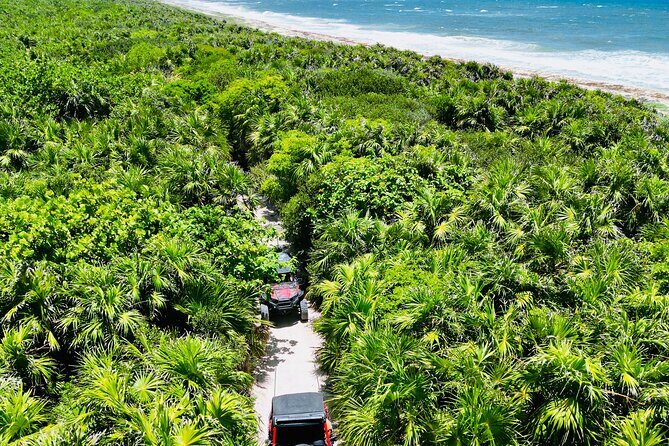 Private Jeep & Polaris RZR: San Gervasio Mayan Ruins & Snorkeling - Exploring Mayan History at San Gervasio