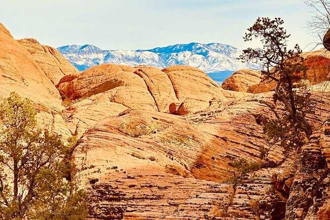 Private Jeep Ride to Explore Slot Canyons and Rock Formations - What the Reviews Say