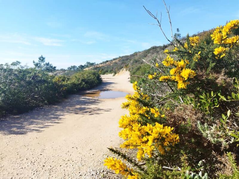 Private Jeep tour to Espichel Mysteries and Wild Beaches - What Makes This Tour Stand Out