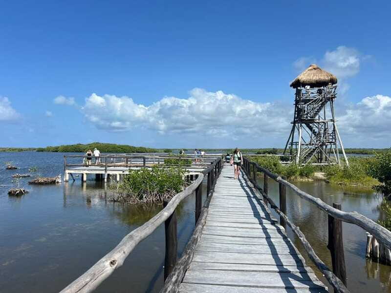 Private Jeep tour to Punta Sur park + snorkel + Lunch - Who Will Love This Tour?
